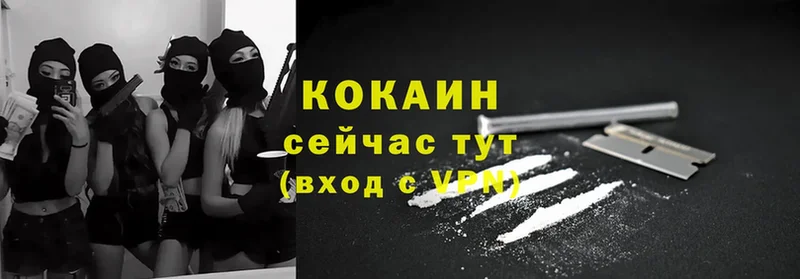 Cocaine Эквадор  наркота  Пошехонье 