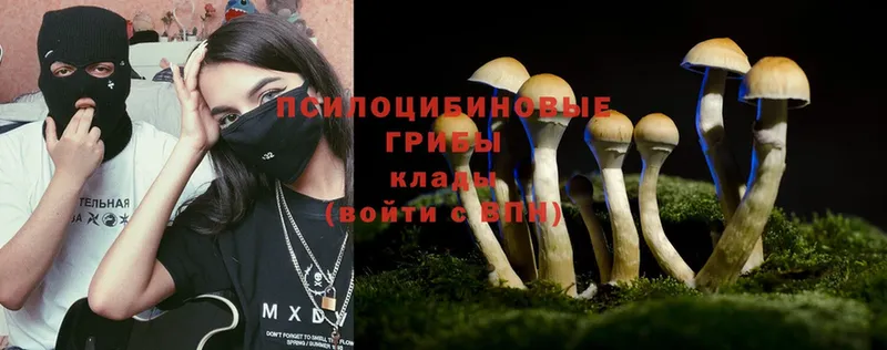 Псилоцибиновые грибы Magic Shrooms  кракен как войти  Пошехонье 